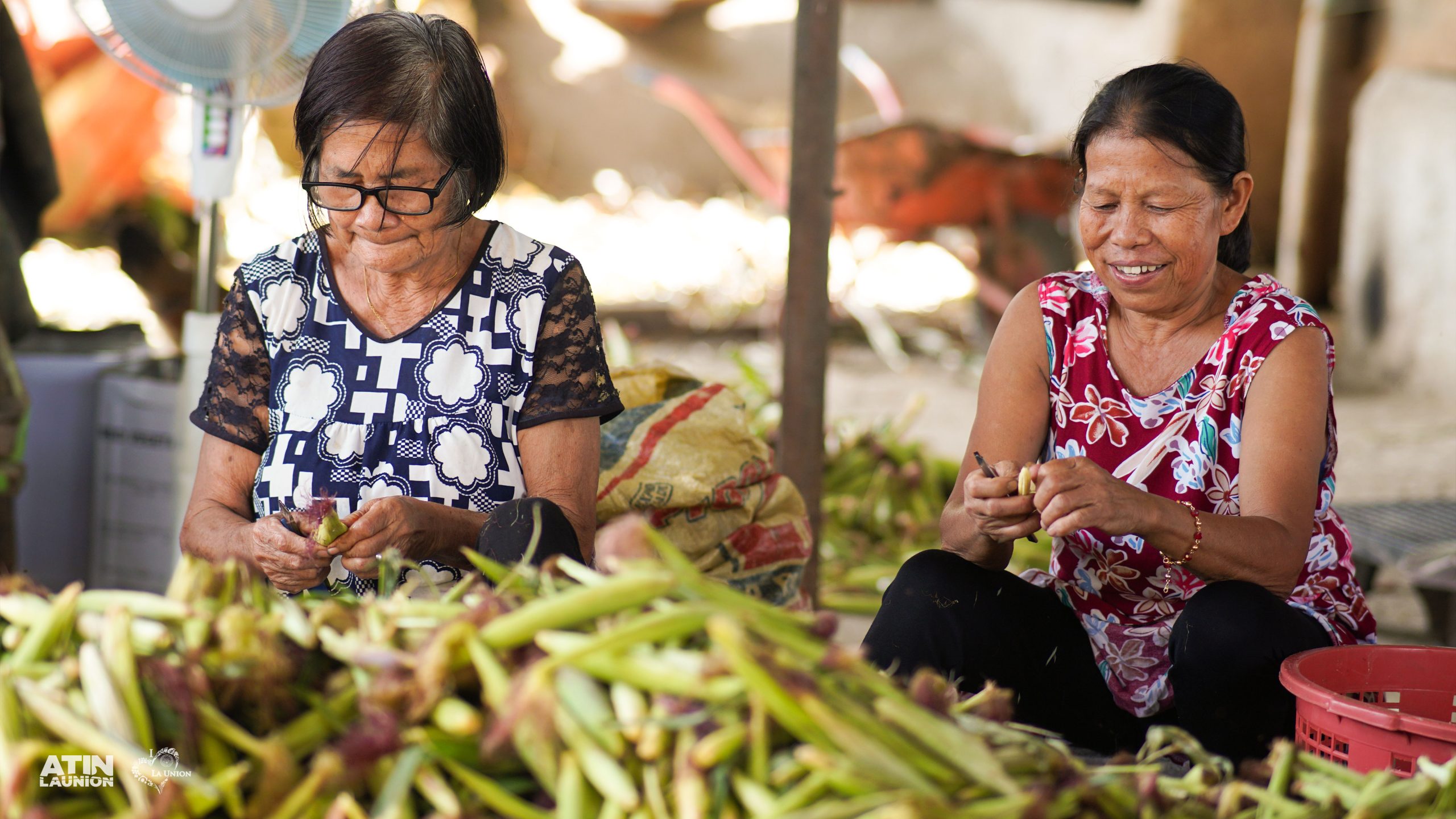 Two workers of the agri-tourism site, Rocapor's Farm, clean the corns rhey harvested.