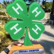 La-Union-Agriculture-4H-Club-9