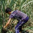 La-Union-Tourism-Pulitipot-Making-3