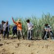 La-Union-Tourism-Pulitipot-Making-9