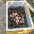 la-union-agri-tourism-bokashi-balls-1